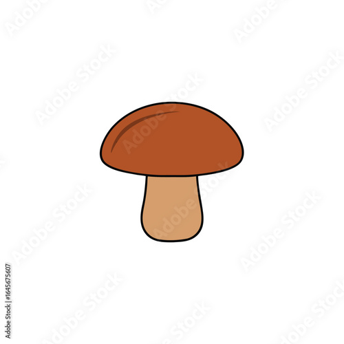boletus edulis mushroom