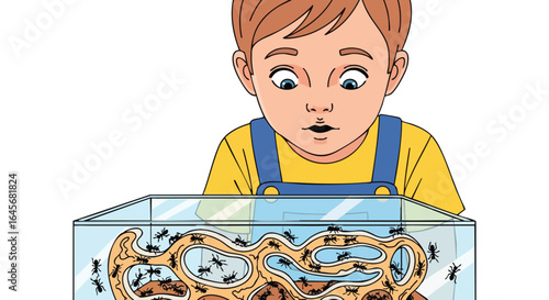 Curious young boy observing an ant farm colony.