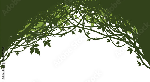 Tangled Jungle Vines Forming an Arch Frame on White Background.