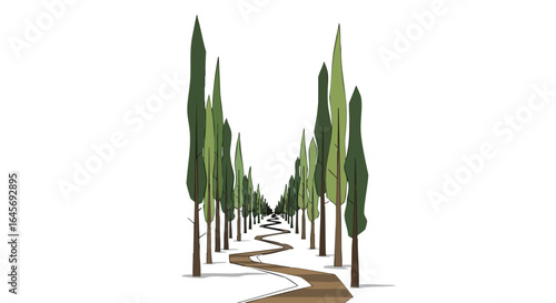 Winding path through an alley of tall cypress trees.