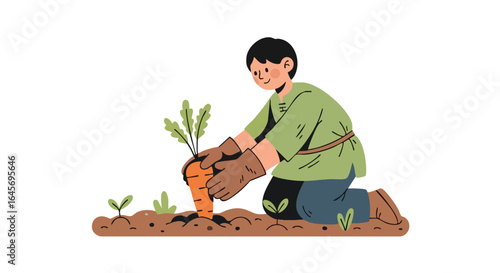 Young farmer harvesting a fresh carrot from the garden.