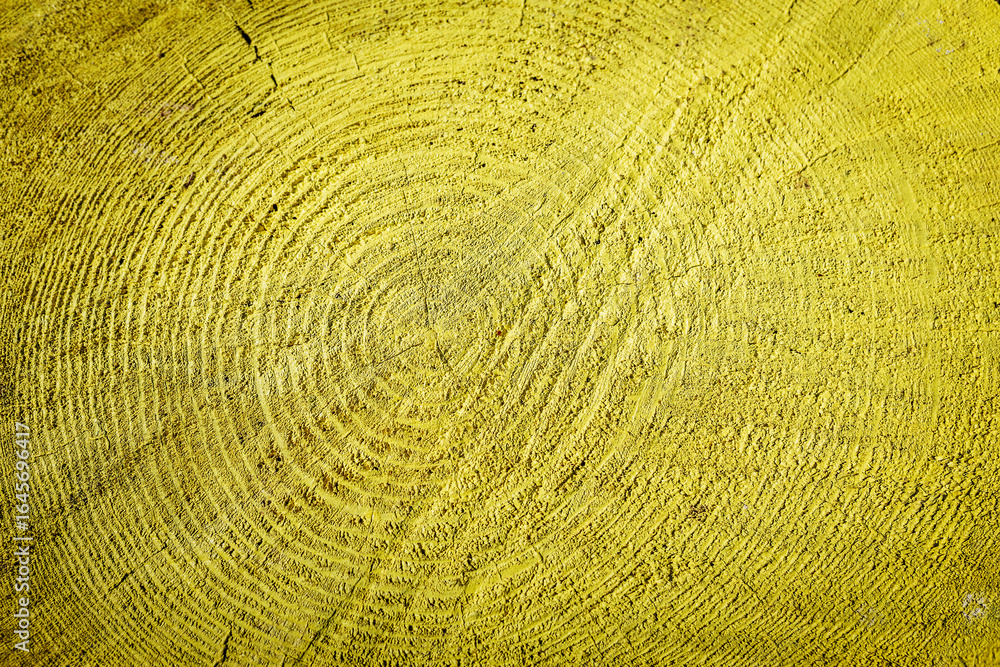Fototapeta premium Close-up of yellow-painted wooden log cross-section with visible growth rings