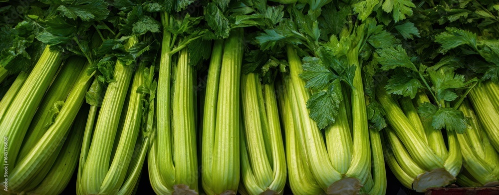 Obraz premium The Celery Stalks in Fresh Green Display for Crisp Healthy Cooking