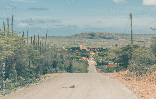 road to the hills and the oldest town on the Bonaire island