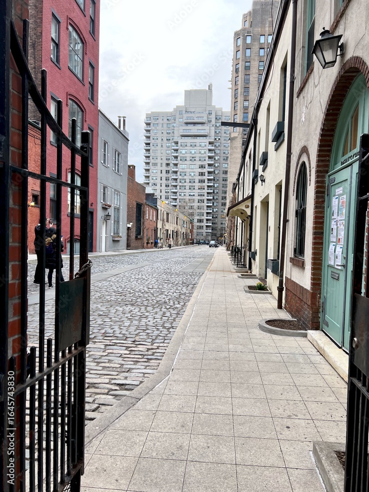 Obraz premium Historic Cobblestone Street in Urban Neighborhood with Gated Entrance