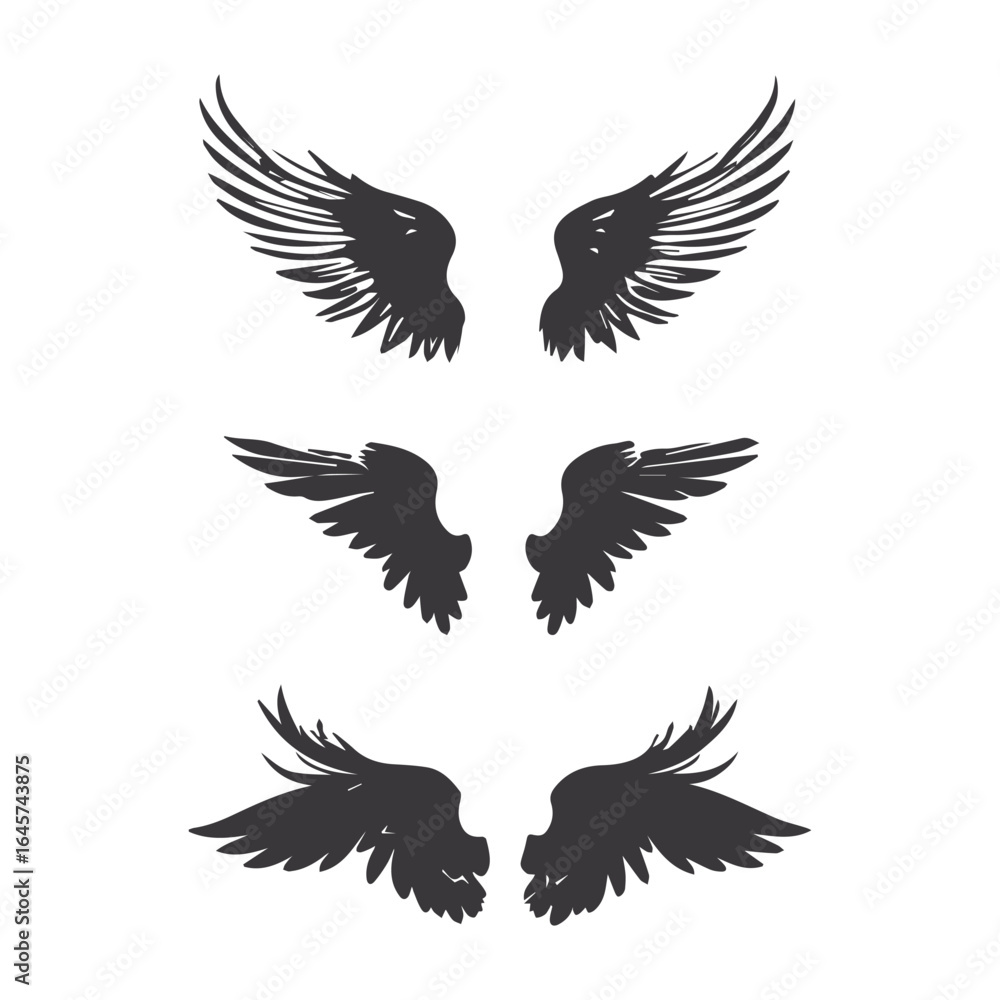 Obraz premium eagle with wings