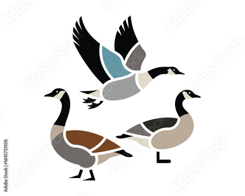 Elegant Canada Geese Illustration A Trio of Birds in Flight and Rest