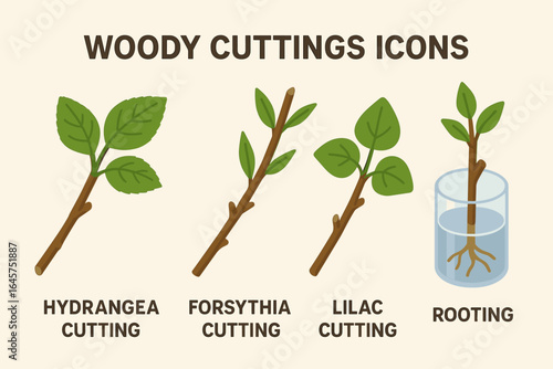 Woody shrub cuttings icons set – plant propagation, gardening tools, horticulture, simple line style