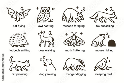 Nocturnal animals icons: bat, owl, raccoon, fox, hedgehog, deer, moth, mouse, cat, dog, badger, bird