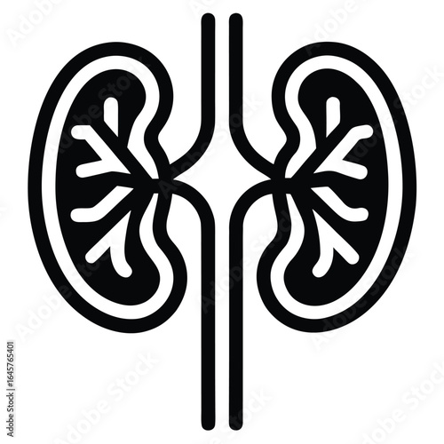 Black Silhouette Icon of Human Kidneys with Ureters and Renal Artery and Vein anatomy medical