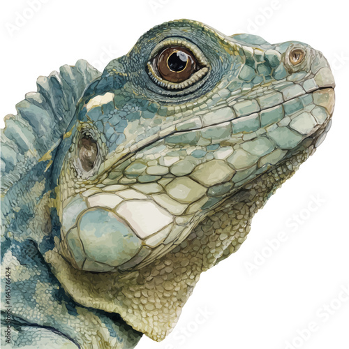 Basilisk in watercolor style, vector illustration, isolated on white background.