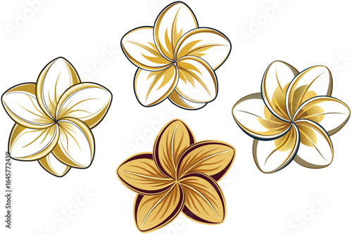 frangipani flower isolated on white..set of flowers