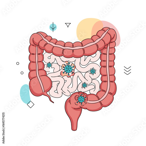 Understanding the human digestive system and the impact of illness on gut health