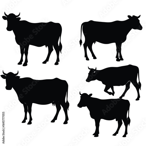 Collection of five black cow silhouettes in various poses on a white background cows cattle