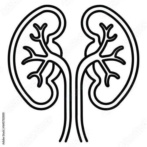 Stylized black and white line art illustration of human kidneys with ureters and renal arteries