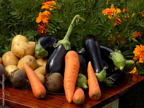 Autumn still life. Vegetables in abundance on the table.