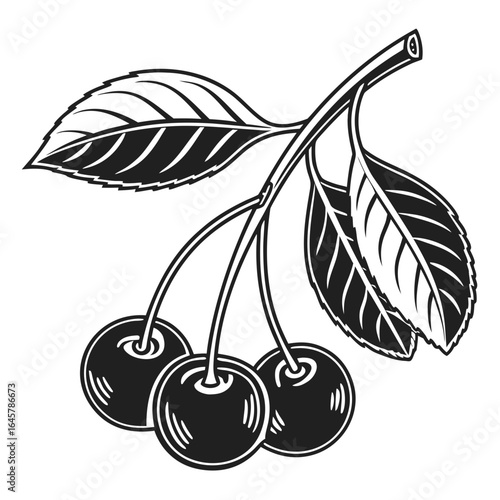 Wallpaper Mural Fresh Fruit Vector Illustration in Minimal Art Style Torontodigital.ca