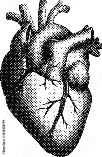 Vintage Halftone Anatomical Heart Illustration in Stipple Engraving Style