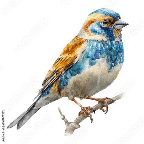 Watercolor vector illustration of Sander, isolated on white background.