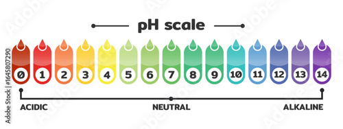 Acid Alkaline pH Scale Diagram, Vector illustration.