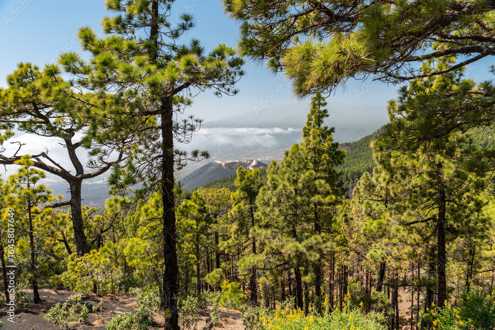 Obraz premium Vulkan Tajogaite – Neues Vulkangebiet La Palmas