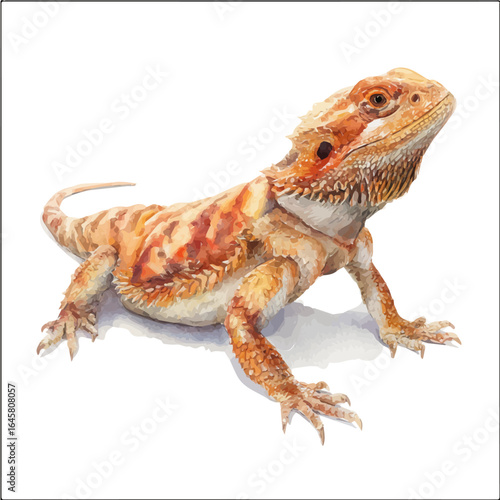 Bearded Dragon in watercolor style, vector illustration, isolated on white background.
