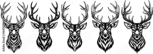 Deer head vector illustration, stag antler graphic design, wild animal silhouette art, vintage woodland emblem, hunting inspired rustic wildlife artwork