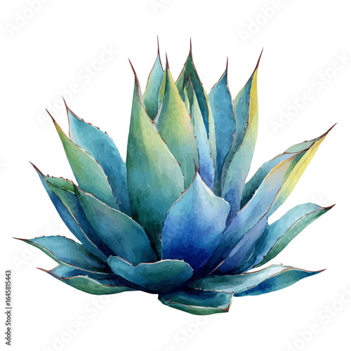 Watercolor vector illustration of Agave, isolated on white background.
