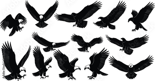 Set of flying eagle silhouettes, bald eagle in attack and landing poses, predatory bird collection, wild raptor animal vector illustration
