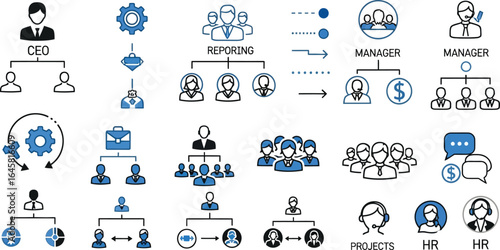 Organization charts showing ceo reporting manager hr and project management structures in black and blue