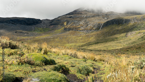 Panoramic view of Ecuadorian páramo with moss, tall grass, and rocky slopes partially covered by clouds.