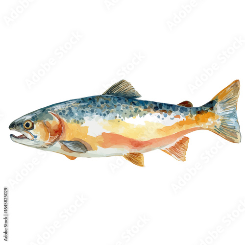 Baked Salmon in watercolor style, vector illustration, isolated on white background.