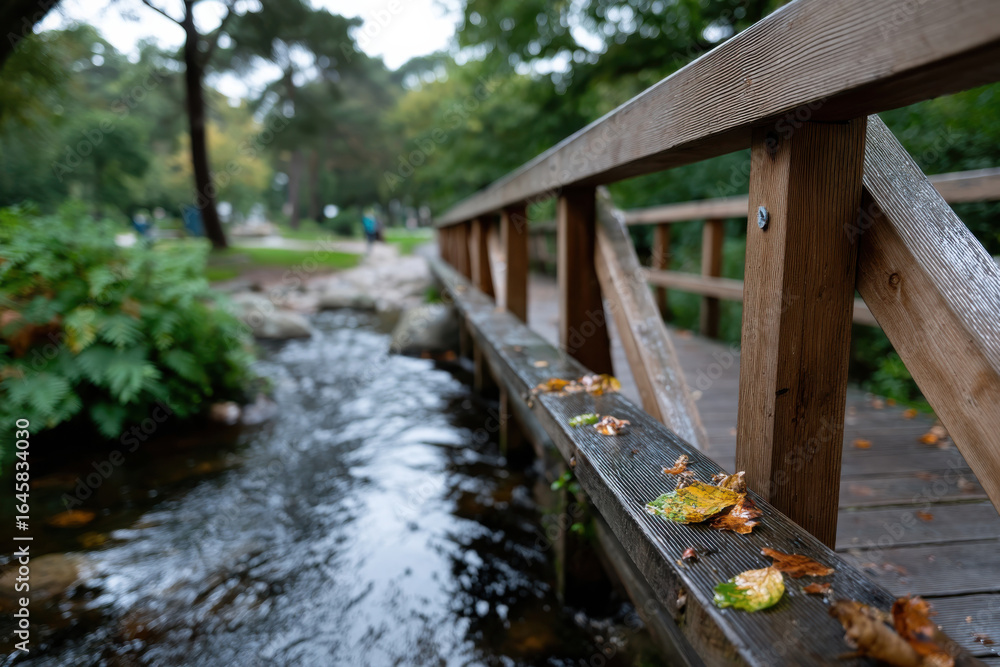 A peaceful wooden bridge stretches over a gently flowing stream, adorned with autumn leaves, inviting tranquility and a deep connection to nature in a serene park setting. A peaceful wooden bridge stretches over a gently flowing stream, adorned with autumn leaves, inviting tranquility and a deep connection to nature in a serene park setting.