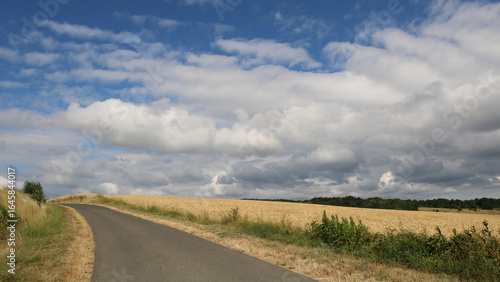 Road through wheat fields 8K