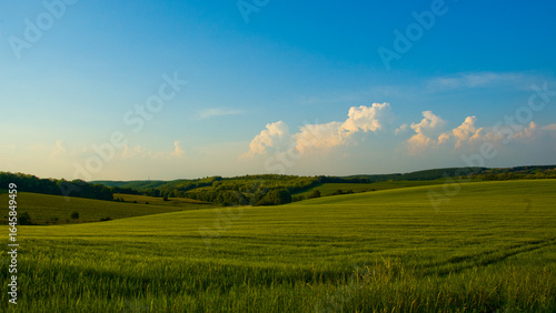 Spring hills 4K