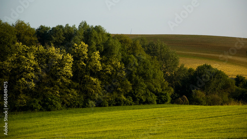 Spring sowing 4K
