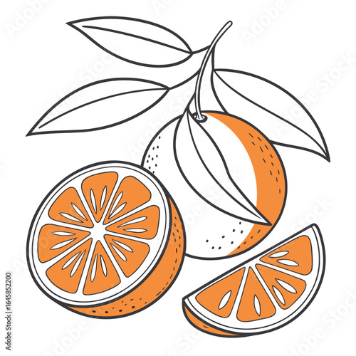 orange slices with leaves