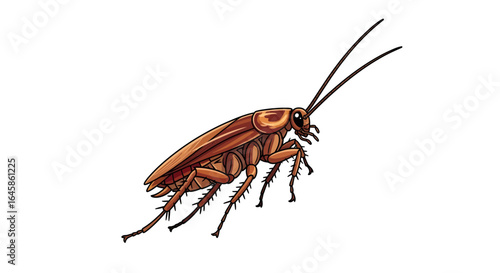 A Close-Up Study of an Insect, Educational Content, Creative Environment, Scientific Perspective