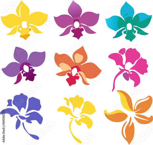 Vibrant silhouette collection of diverse orchid flowers