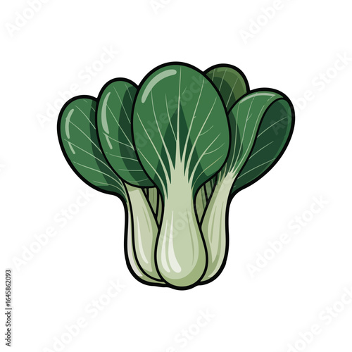 Illustration of bok choy with thick stems and green leaves on a white background chinese cabbage