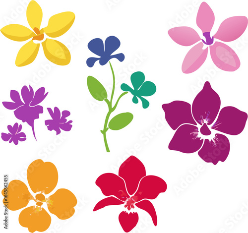 Colorful silhouette set of various orchid flowers