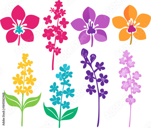 Vibrant silhouette set of diverse orchid flowers