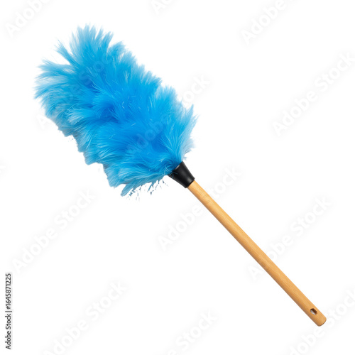 Classic Feather Duster: Simple, Stylish Tool for Effortless Dusting