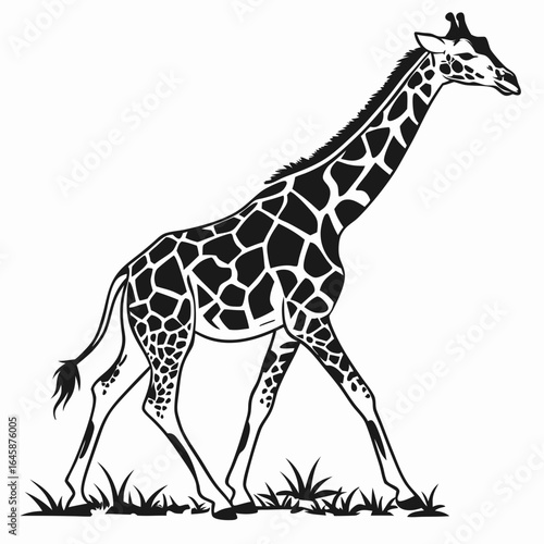 giraffe silhouette vector