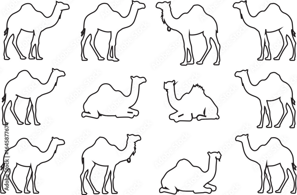 Obraz premium Silhouette Outline Set of Camels in Various Poses on White Background