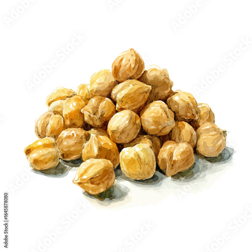 Chickpeas, watercolor painting, vector illustration, isolated on a white background.