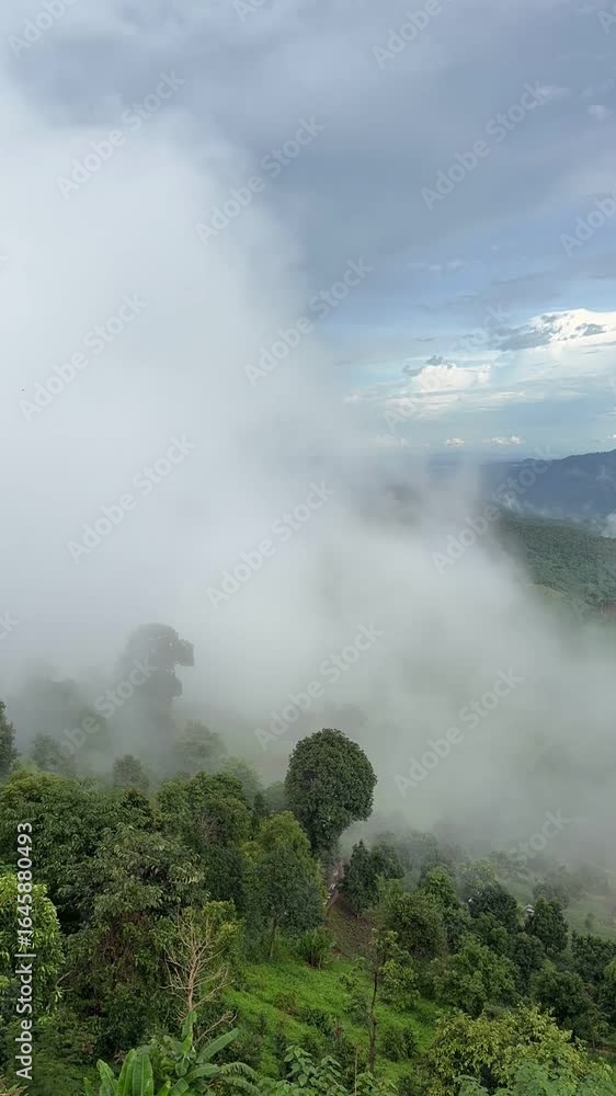Mesmerizing Timelapse of Emerald Green Valley with Drifting White Mist and Gentle Breeze Mesmerizing Timelapse of Emerald Green Valley with Drifting White Mist and Gentle Breeze