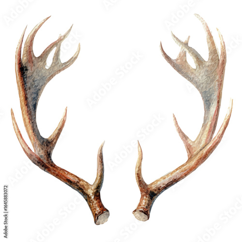 Christmas Reindeer Antlers in watercolor style, vector illustration, isolated on white background.