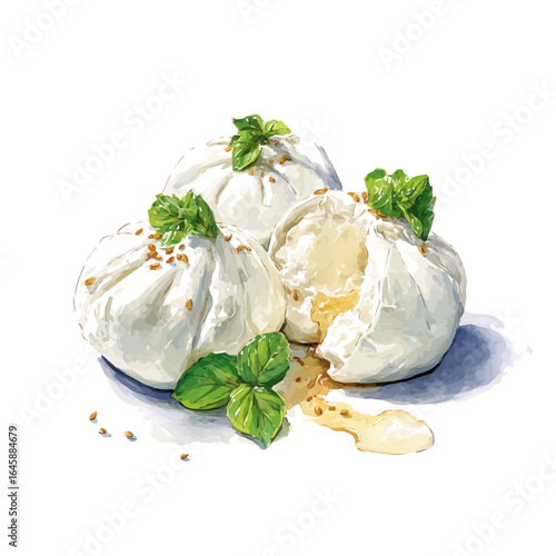 Watercolor vector illustration of Burrata, isolated on white background.