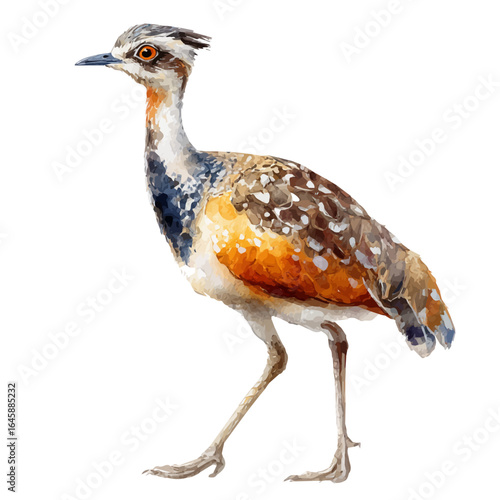 A watercolor painting of Bustard, vector illustration on white background.